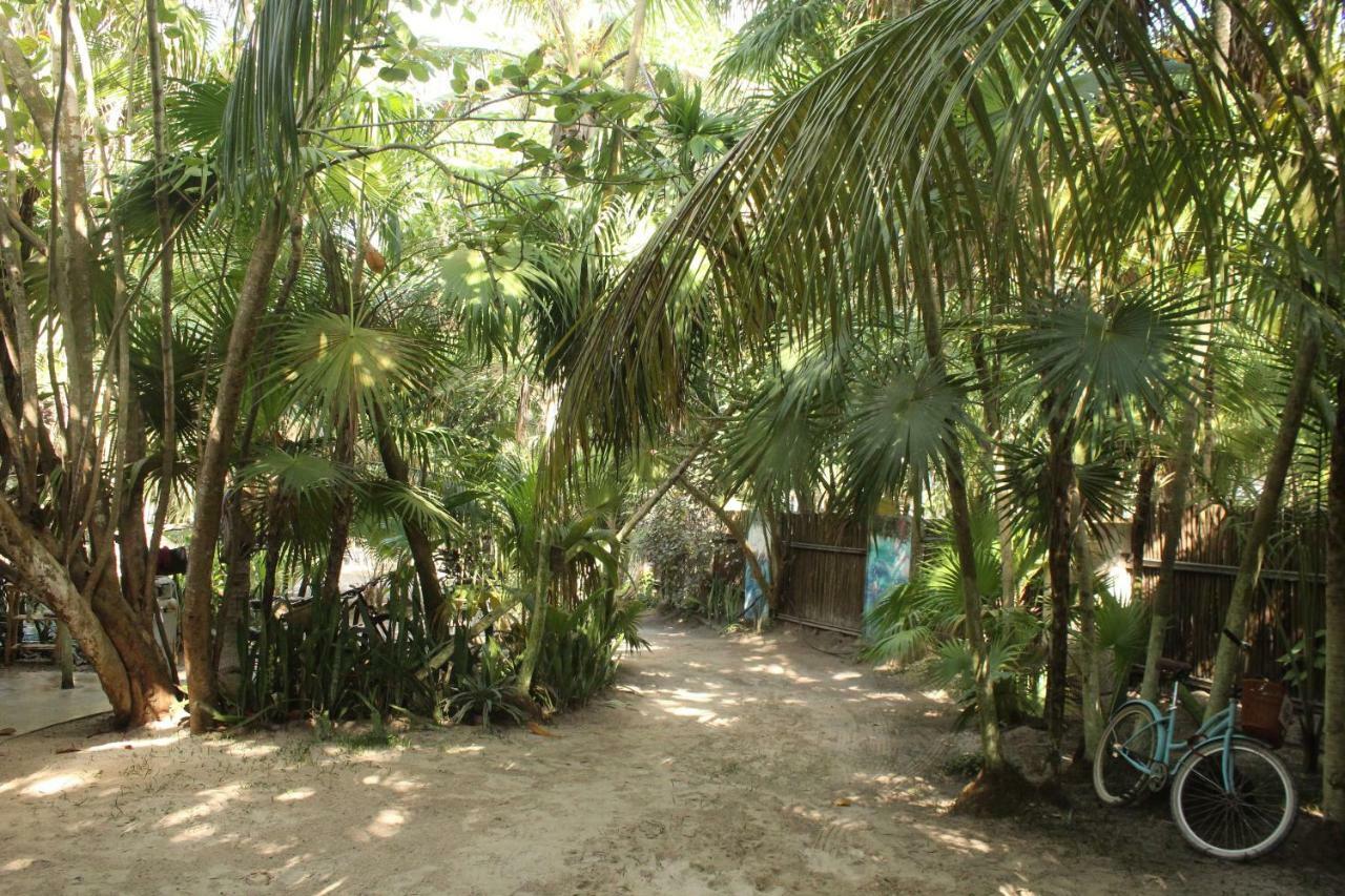 טולום Chavez Eco Beach Camping And Cabanas מראה חיצוני תמונה